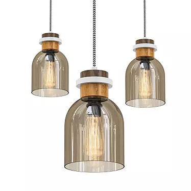 Eclectic Glass Jar Pendant Light 3D model image 1 