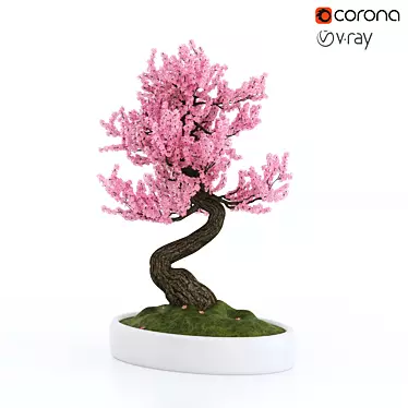 Sakura Bonsai Tree: 3D Model 3D model image 1 