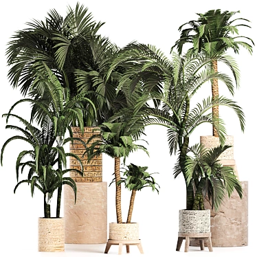 Exotic Palms Collection: Enhance Your Space 3D model image 1 