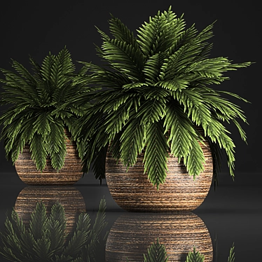 Tropical Plant Collection in Rattan Baskets 3D model image 1 