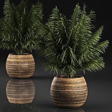 Tropical Plant Collection in Rattan Baskets 3D model image 1 