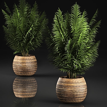 Tropical Plant Collection in Rattan Baskets 3D model image 1 