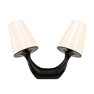 Elegant Dual Light Fixture 3D model image 1 