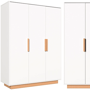 FABI 3-Door Wardrobe: Elegant Storage Solution 3D model image 1 