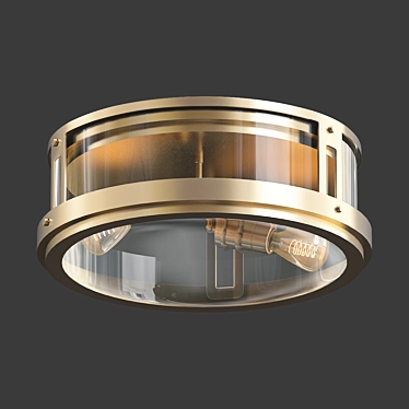 Satin Brass Flush Mount 3D model image 1 