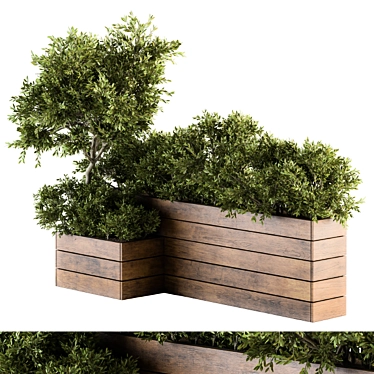 Natural Outdoor Tree Set 3D model image 1 