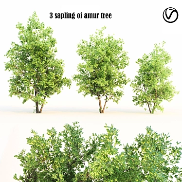 Amur Cluster Tree Bundle 3D model image 1 