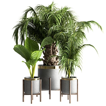Tropical Green Indoor Plant 3D model image 1 