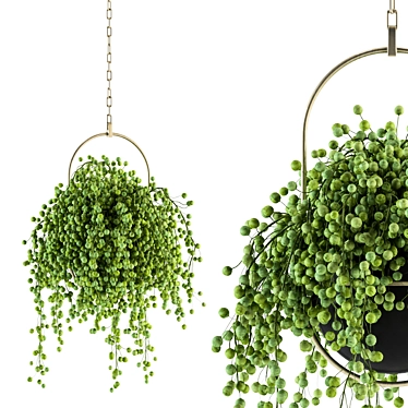 GreenLife Hanging Box - Indoor Set 3D model image 1 