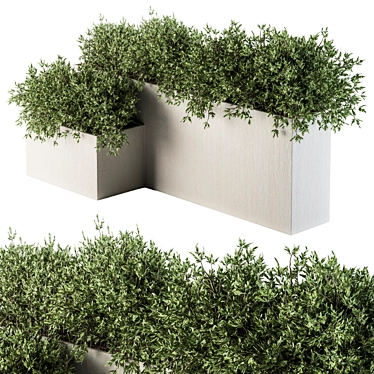 Concrete Box Outdoor Plants - Set 156 3D model image 1 