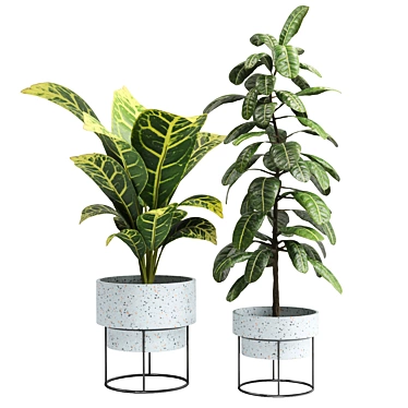 16-Inch Indoor Plant: 3D Model & Export Files 3D model image 1 