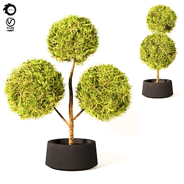 Elegant Topiary Plant: 135cm 3D model image 1 