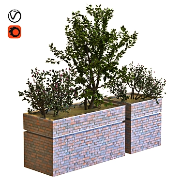 Versatile Tree Box Set 034 3D model image 1 