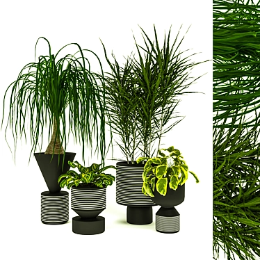 Green Oasis: Indoor Plants Set 3D model image 1 
