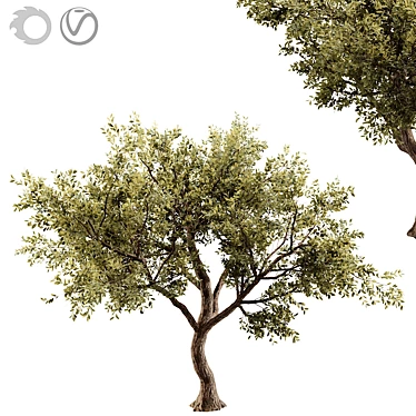 Giant Tree 3D Model: High-quality, Versatile Design 3D model image 1 