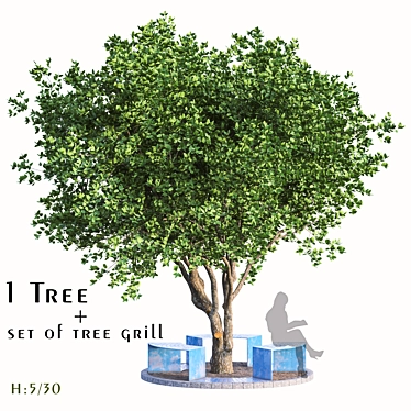 Camphor Tree Set with Tree Grill 3D model image 1 