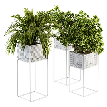 Exquisite Indoor Plant Set 3D model image 1 