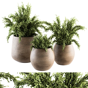 180 Indoor Plant Set: Pot & Greenery! 3D model image 1 