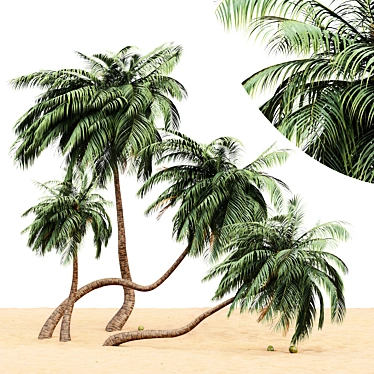 Tropical Paradise: 4 Coconut Palms 3D model image 1 