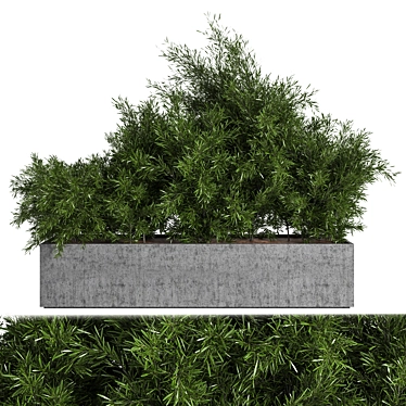 Concrete Box Outdoor Tree - Versatile Interior/Exterior Accent 3D model image 1 