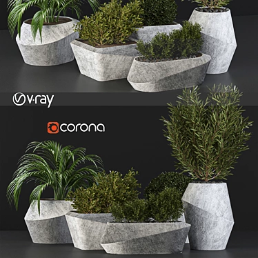 Outdoor Plant Collection 3D model image 1 