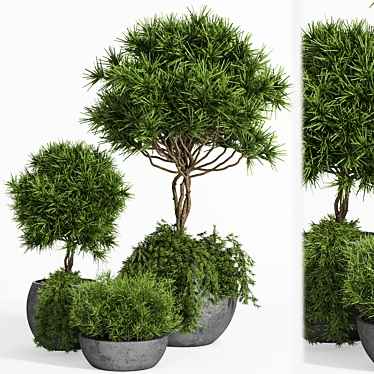 Indoor/Outdoor Decor Accent: Outdoor Plants Tree 04 3D model image 1 