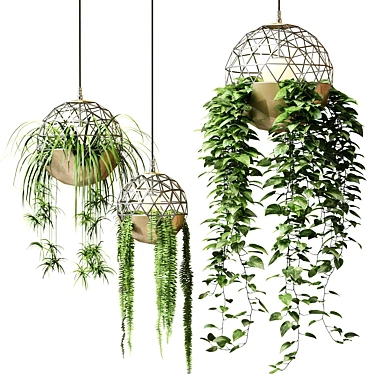 Title: Atelier Schroeter Hanging Plant Luminaires 3D model image 1 