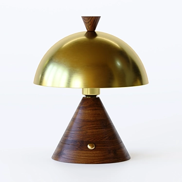 Elegant Wooden Cone Table Lamp 3D model image 1 