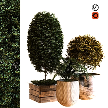 Botanical Box Set 038: Lush Greenery for Your Space 3D model image 1 