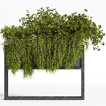 Exquisite Indoor Plant Set 3D model image 1 