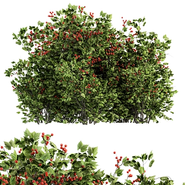 Blooming Berry Bush Sets Beauty 3D model image 1 