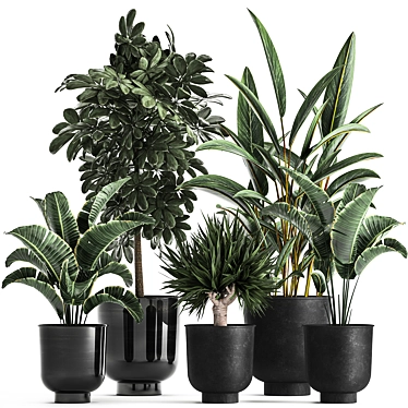 Tropical Plant Collection: Exotic, Indoor & Outdoor, in Vig Planter L Set 2pcs 3D model image 1 