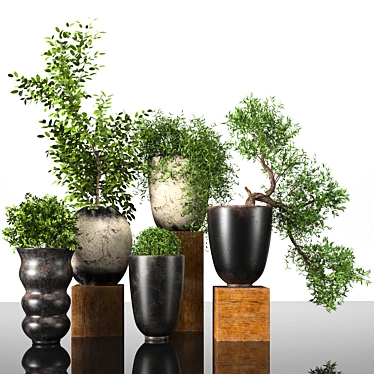 Premium Plant Collection: 3D Models for 3dsMax 3D model image 1 