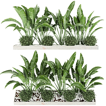 Ultimate Plant Collection Vol. 109 3D model image 1 
