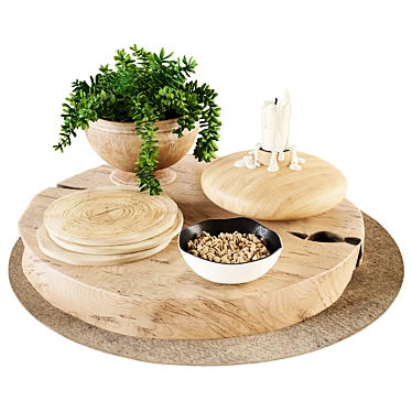 Succulent Decor Set with Wooden Stands, Candle, and Nuts 3D model image 1 