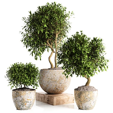 Concrete Pot Outdoor Plant 3D model image 1 