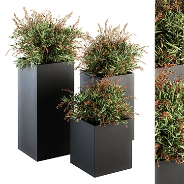 Lush Photinia: Indoor Plant Set 3D model image 1 