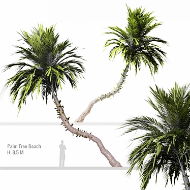 Tropical Paradise Palm Tree 3D model image 1 