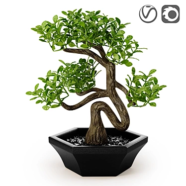 FEJKA FAKE: Artificial Bonsai for Easy Home or Outdoor Decoration 3D model image 1 