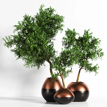 Versatile Outdoor Plant: 2015 Edition 3D model image 1 