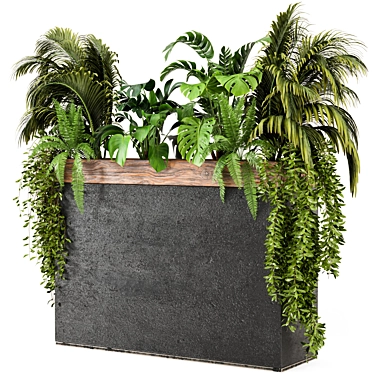 Wood & Concrete Indoor Plant Set 3D model image 1 