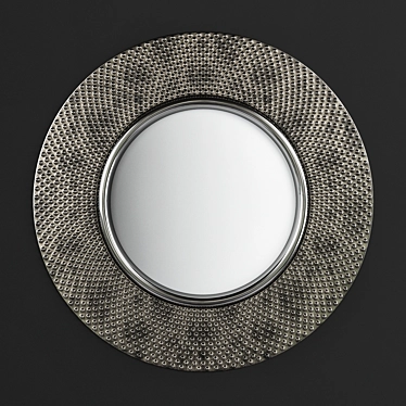 Elegant Pewter Circular Mirror 3D model image 1 
