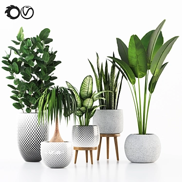 Indoor Plant Collection for Interior Design 3D model image 1 