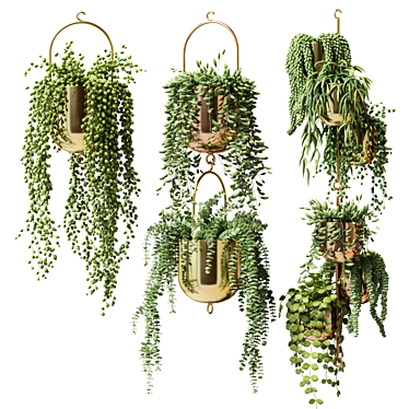 Gilded Hanging Ampel Plants 3D model image 1 