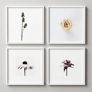 Multi-frame Picture Set - Elegant Frames in Various Colors & Sizes 3D model image 1 