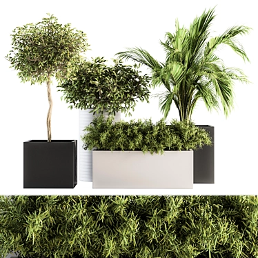 Green Oasis: Indoor Plant Set 188 3D model image 1 
