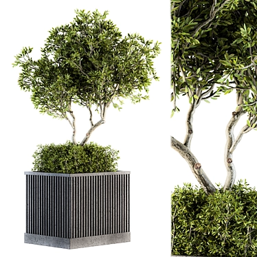 Nature's Oasis: Outdoor Tree Set 3D model image 1 