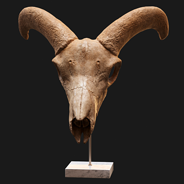 Eerie Goat Skull Décor 3D model image 1 