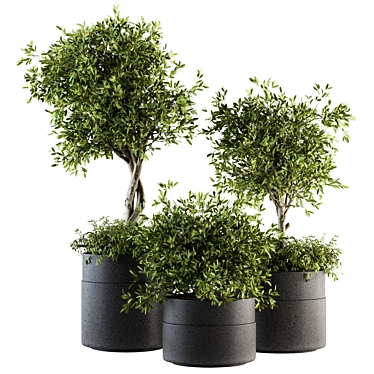 192 Indoor Plant Set - Tree in Pot 3D model image 1 