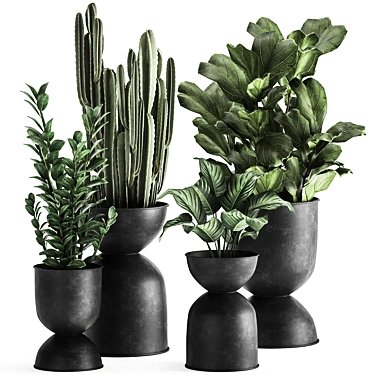 Tropical Plant Collection: Exotic Ficus, Cactus, and Zamioculcas in Stylish Black Pots 3D model image 1 